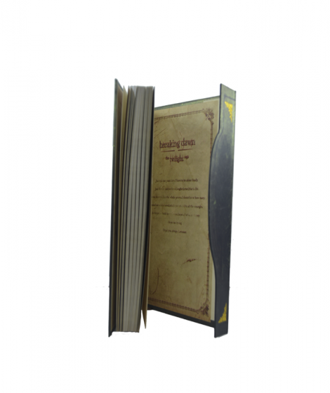 Notebook Notebook