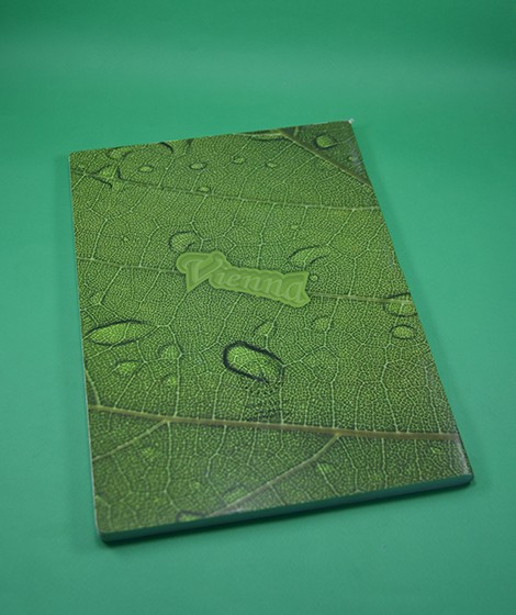 Lined notebook 120 sheets Lined notebook 120 sheets